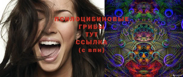 дживик Алексеевка