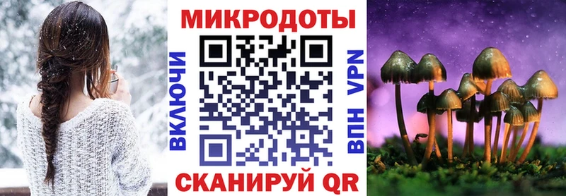 Галлюциногенные грибы Psilocybe  Тольятти 