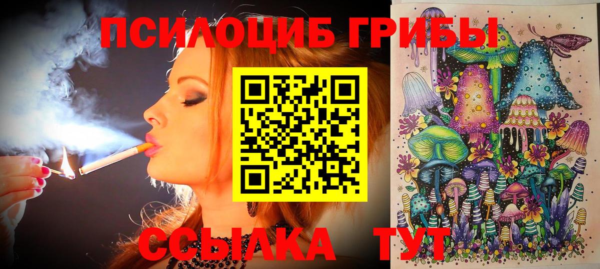 Галлюциногенные грибы GOLDEN TEACHER Тольятти