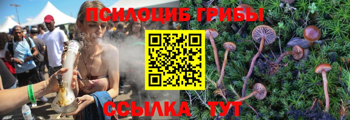 Тольятти  Псилоцибиновые грибы Psilocybe  цены наркотик  Вход с VPN 